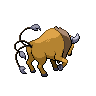 background picture of Tauros