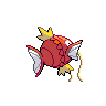 background picture of Magikarp
