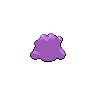 background picture of Ditto