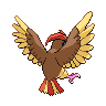 background picture of Pidgeotto