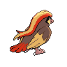 background picture of Pidgeot