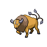 picture of Tauros