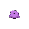 picture of Ditto