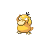 picture of Psyduck