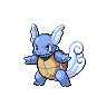 picture of Wartortle