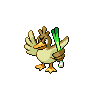 picture of Farfetch'd